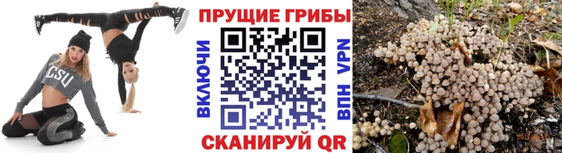 Псилоцибиновые грибы Magic Shrooms  Высоковск 